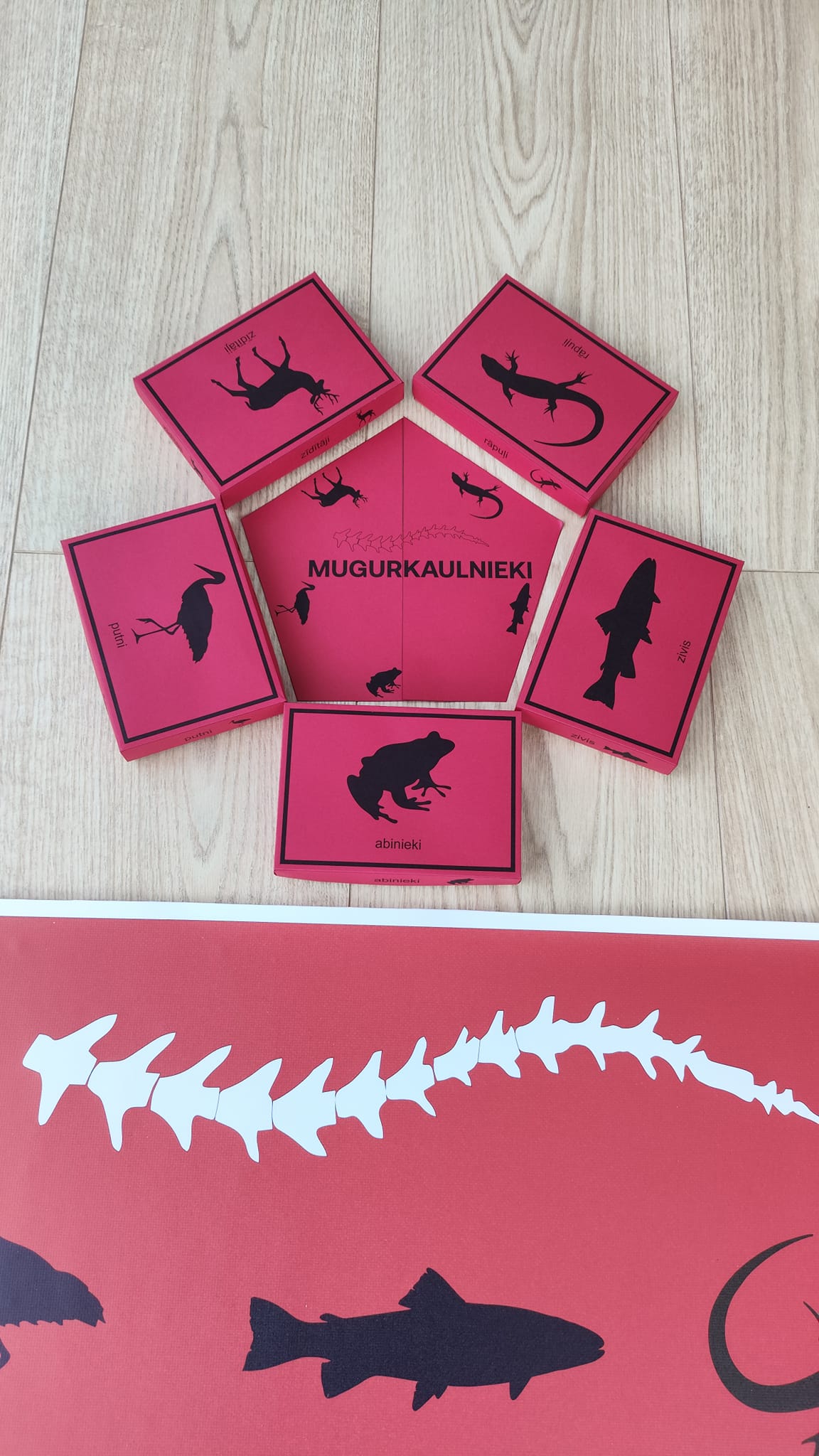 Mugurkaulnieki/Bezmugurkaulnieki kartiņas un kastītes - PDF formātā