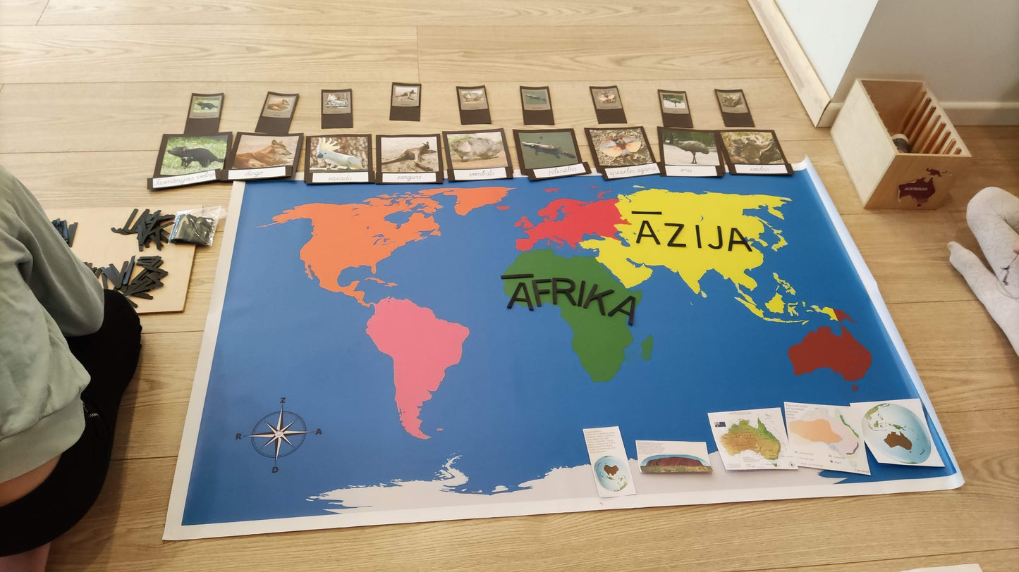 Kontinentu karte. Montessori kontinentu krāsās
