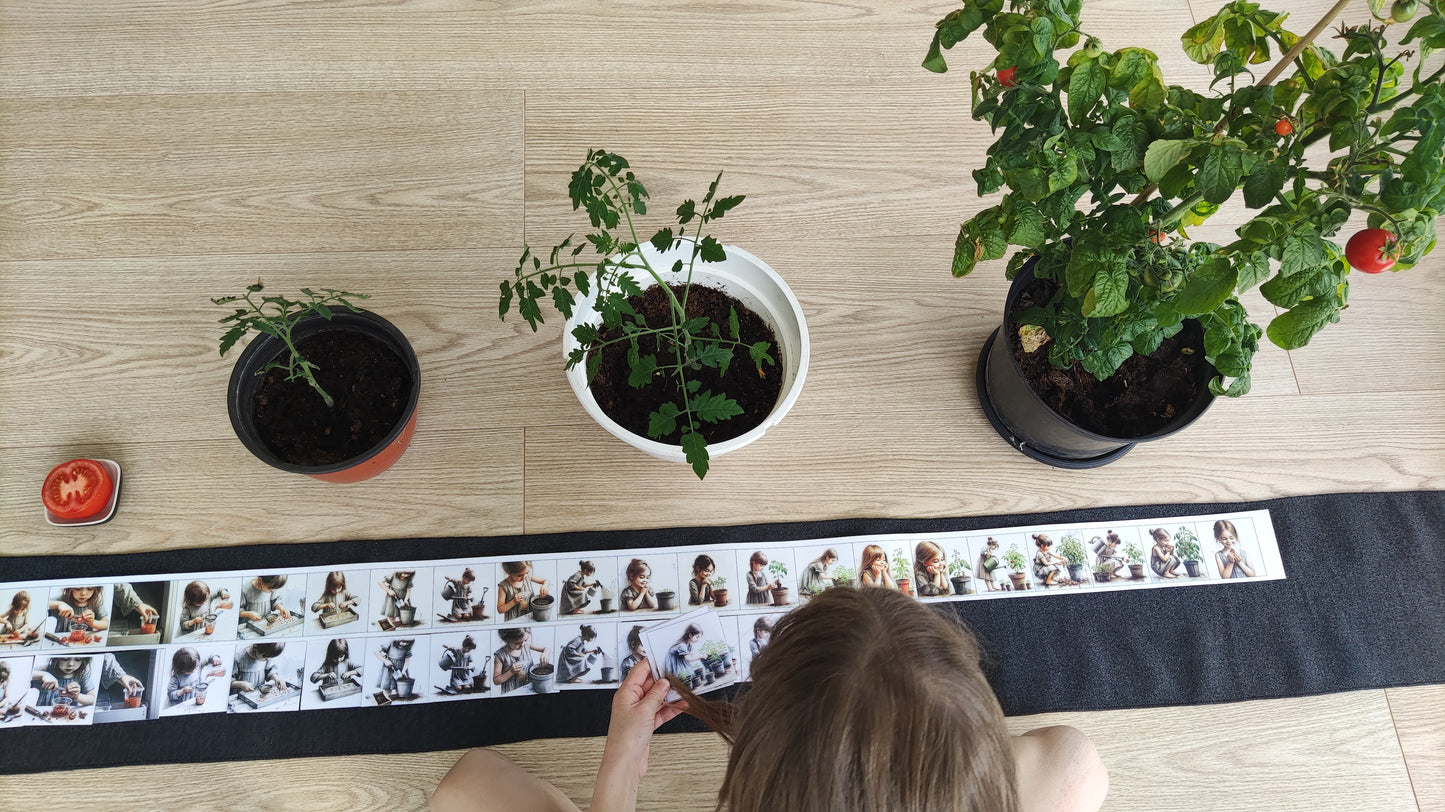 No sēkliņas līdz tomātam | Attīstības kartiņas PDF formātā