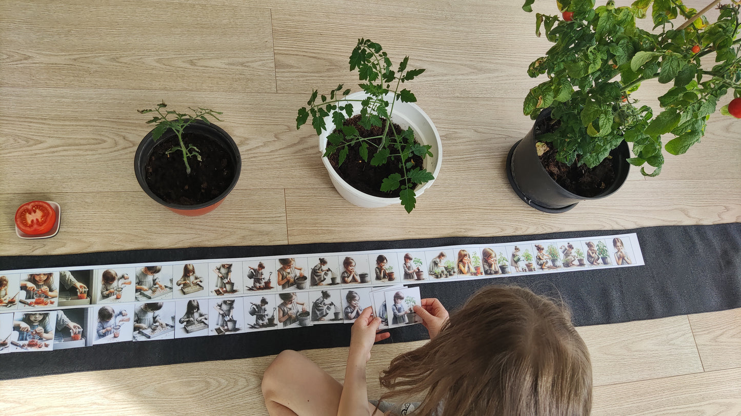 No sēkliņas līdz tomātam | Attīstības kartiņas PDF formātā