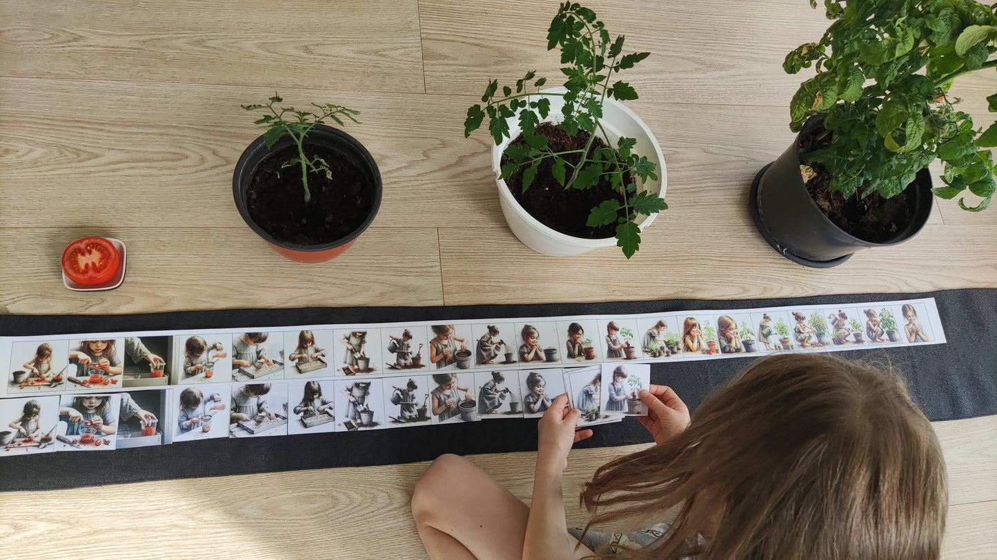 No sēkliņas līdz tomātam | Attīstības kartiņas PDF formātā