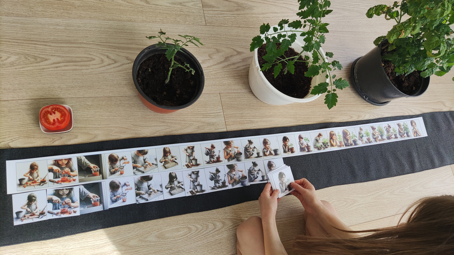 No sēkliņas līdz tomātam | Attīstības kartiņas PDF formātā