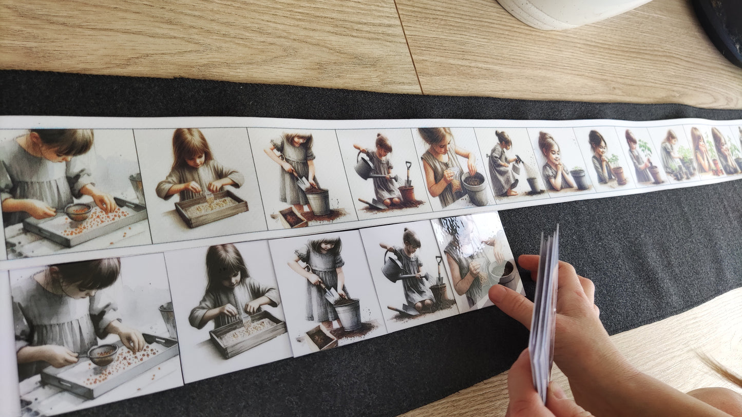 No sēkliņas līdz tomātam | Attīstības kartiņas PDF formātā