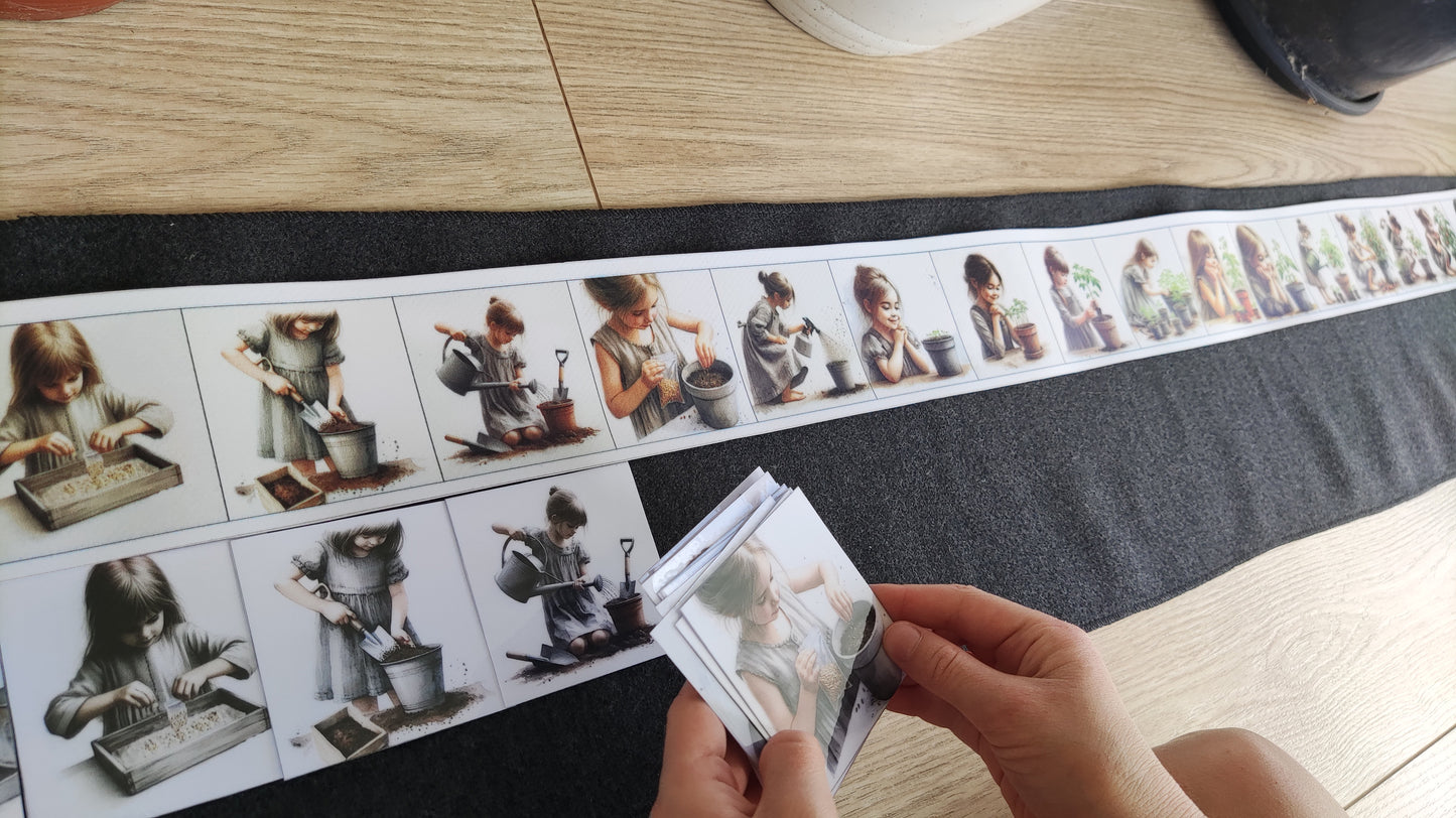 No sēkliņas līdz tomātam | Attīstības kartiņas PDF formātā