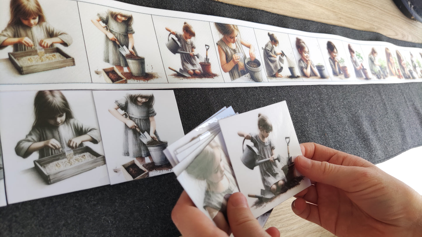 No sēkliņas līdz tomātam | Attīstības kartiņas PDF formātā