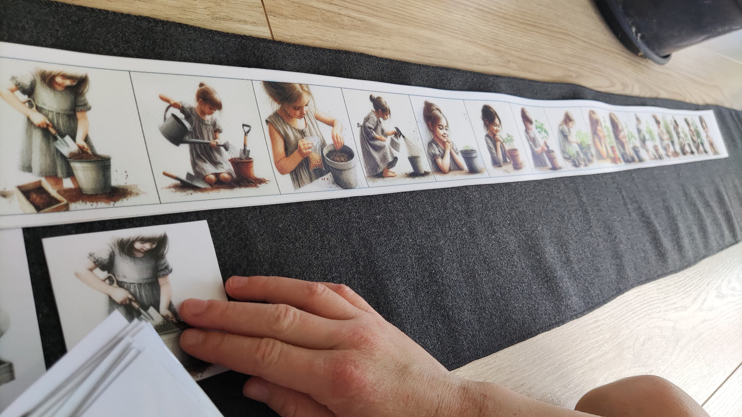 No sēkliņas līdz tomātam | Attīstības kartiņas PDF formātā