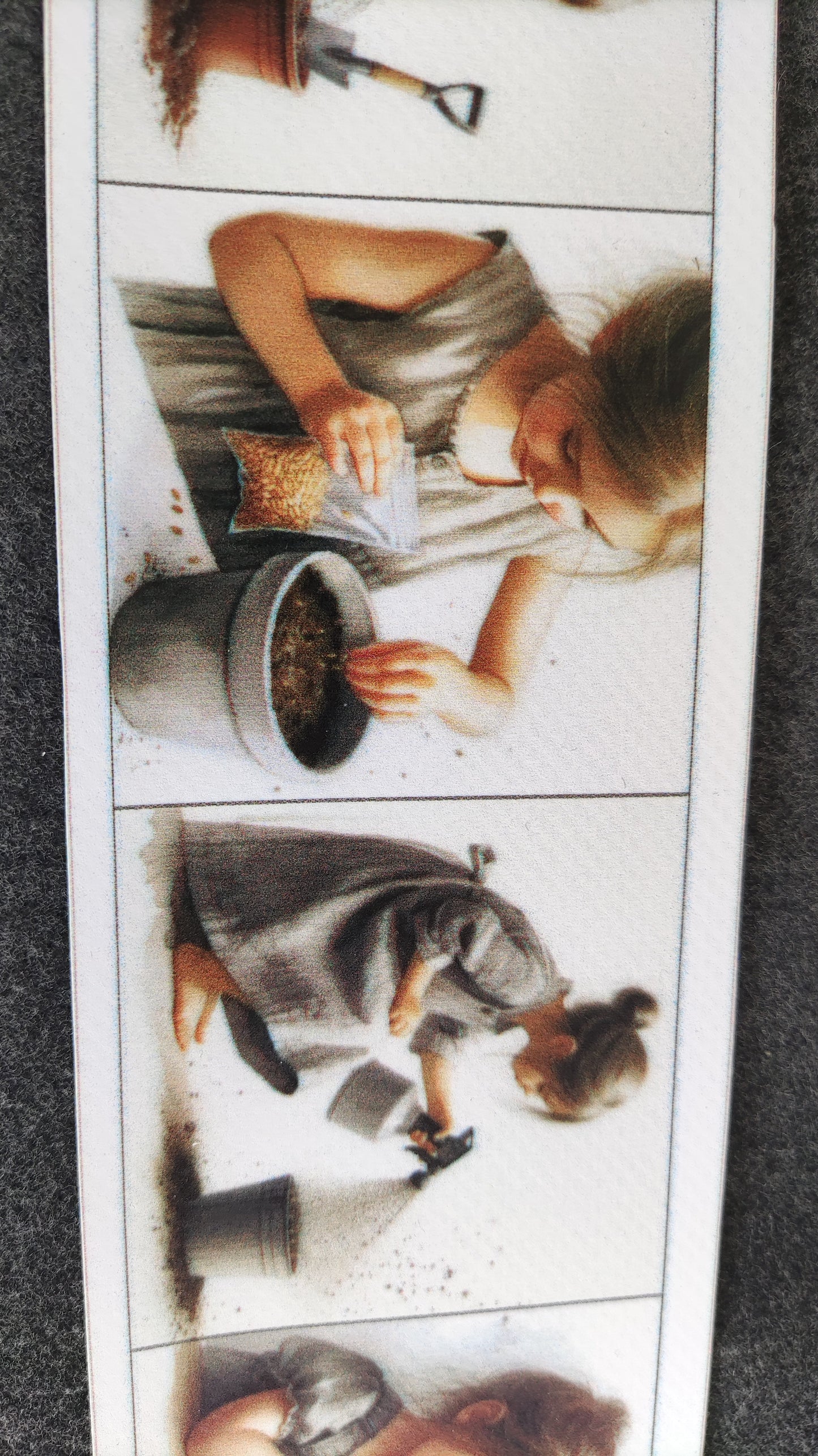 No sēkliņas līdz tomātam | Attīstības kartiņas PDF formātā