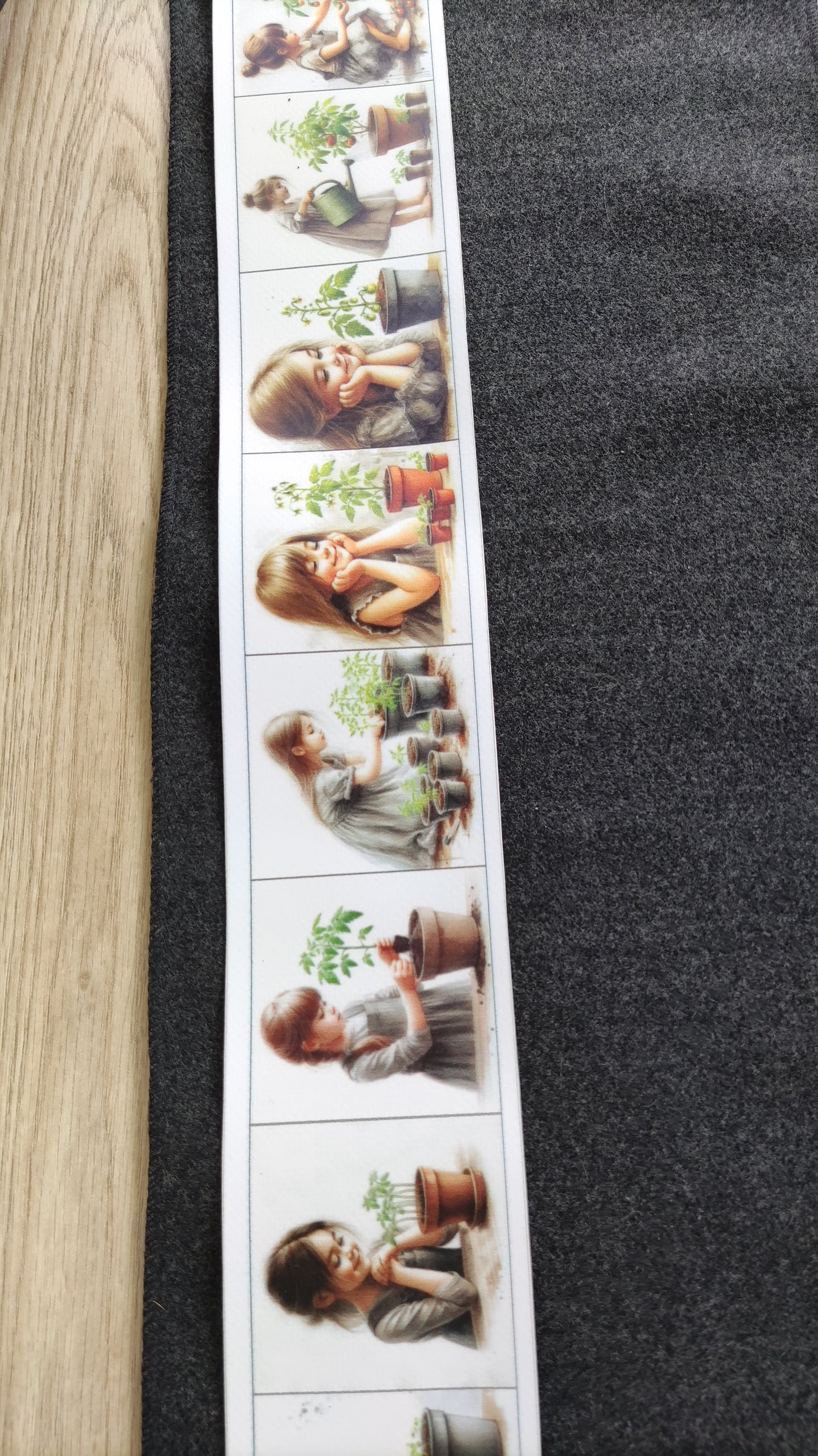 No sēkliņas līdz tomātam | Attīstības kartiņas PDF formātā