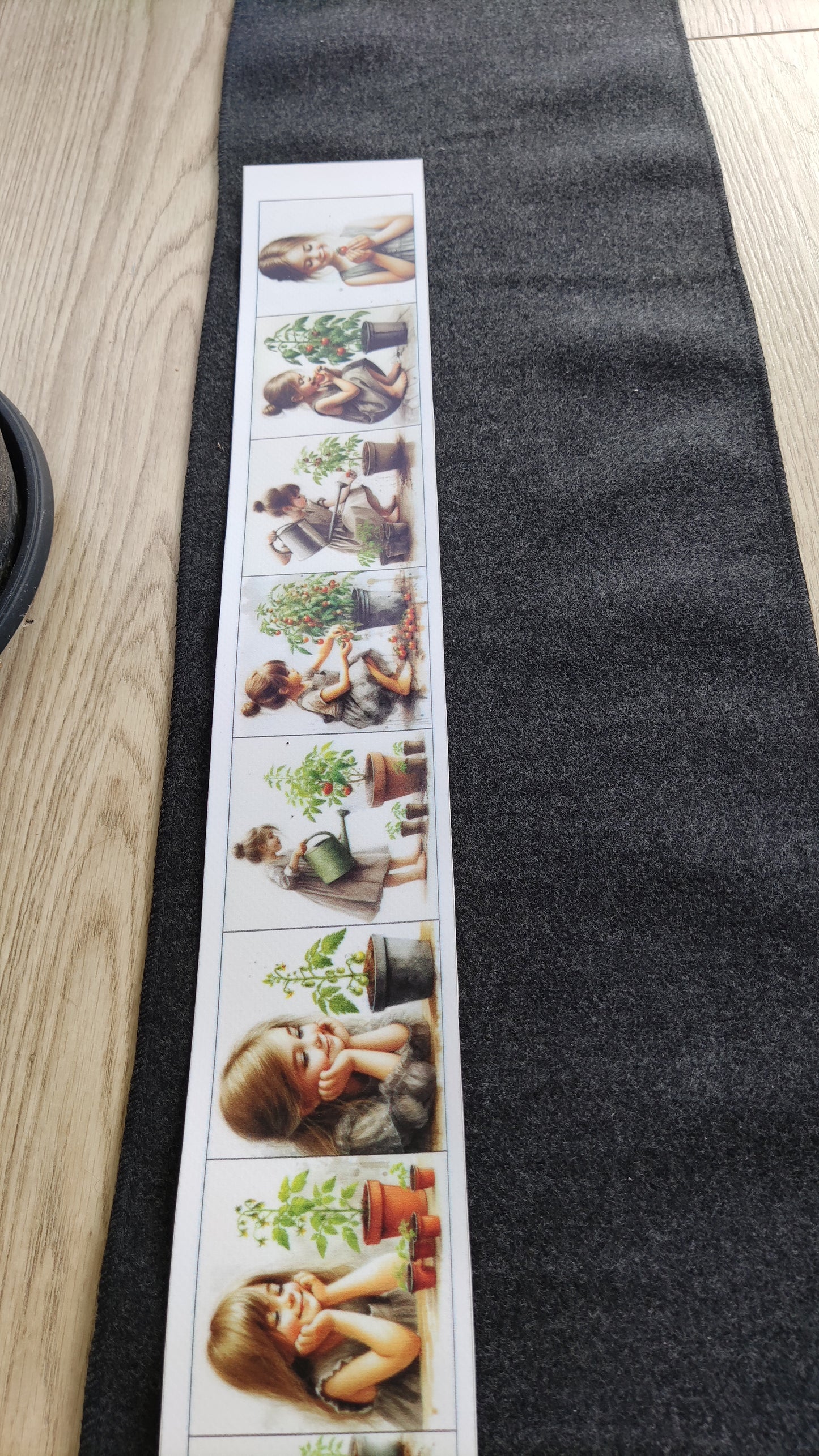 No sēkliņas līdz tomātam | Attīstības kartiņas PDF formātā