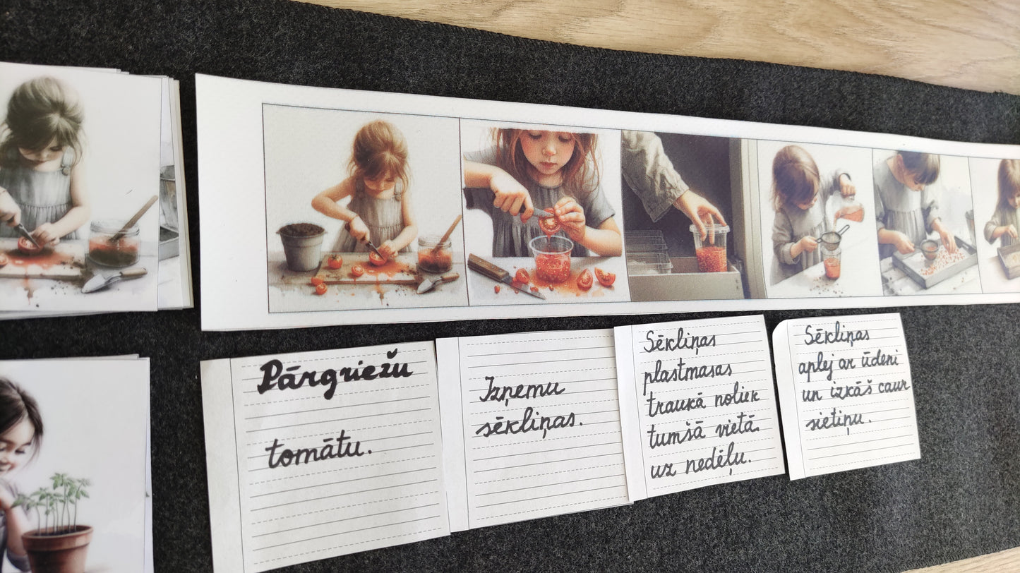 No sēkliņas līdz tomātam | Attīstības kartiņas PDF formātā