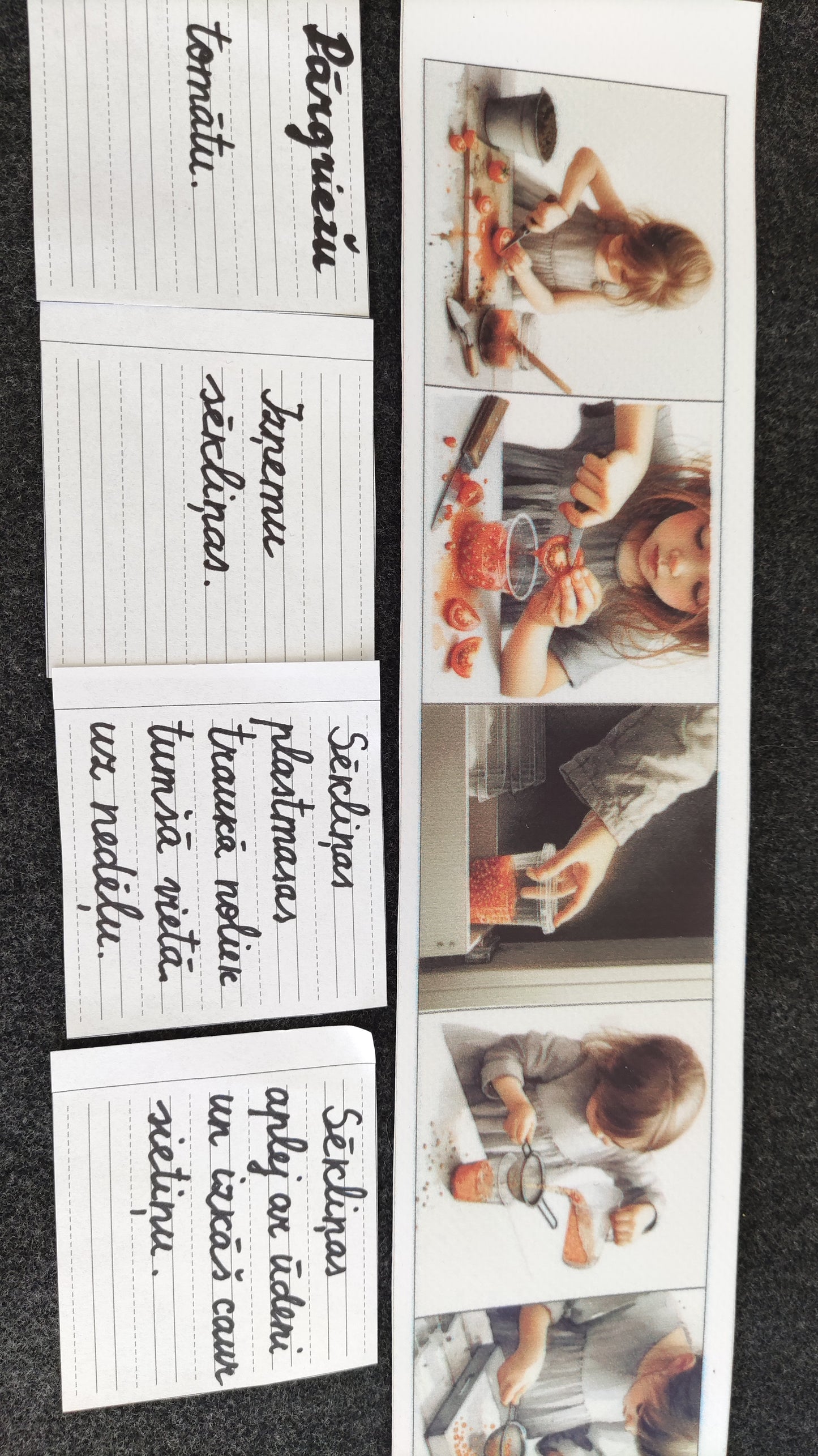 No sēkliņas līdz tomātam | Attīstības kartiņas PDF formātā