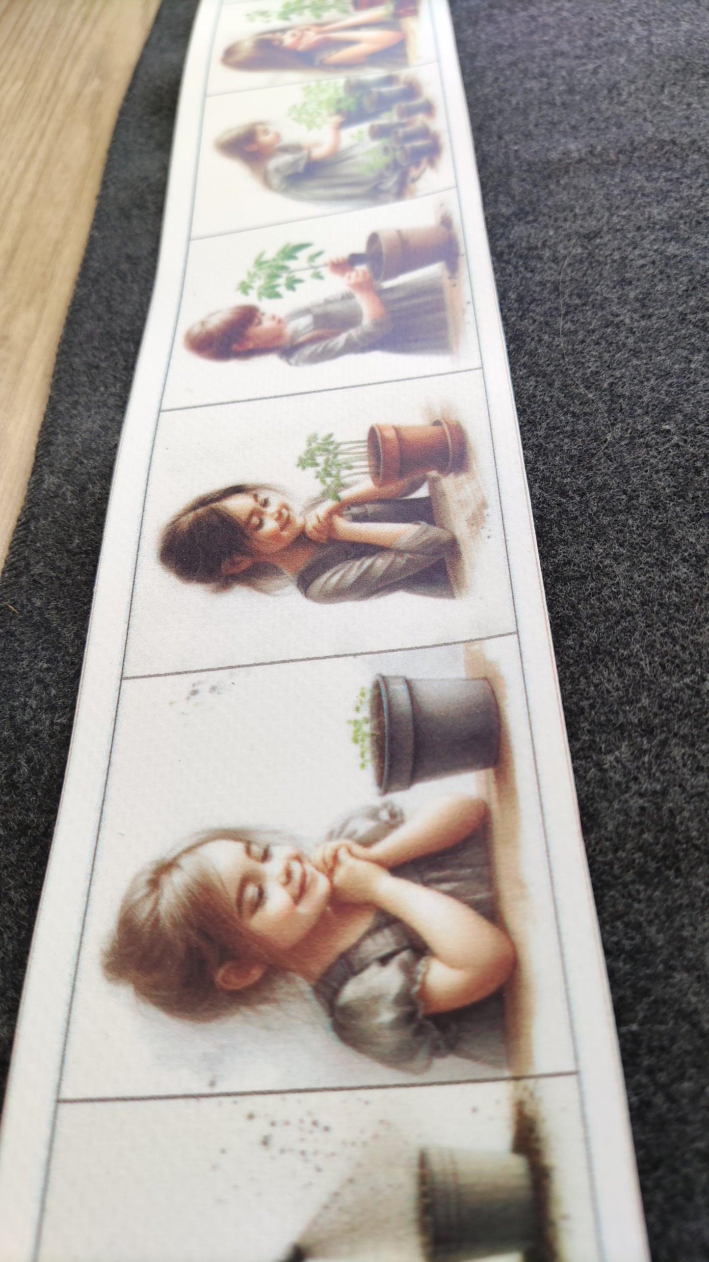 No sēkliņas līdz tomātam | Attīstības kartiņas PDF formātā