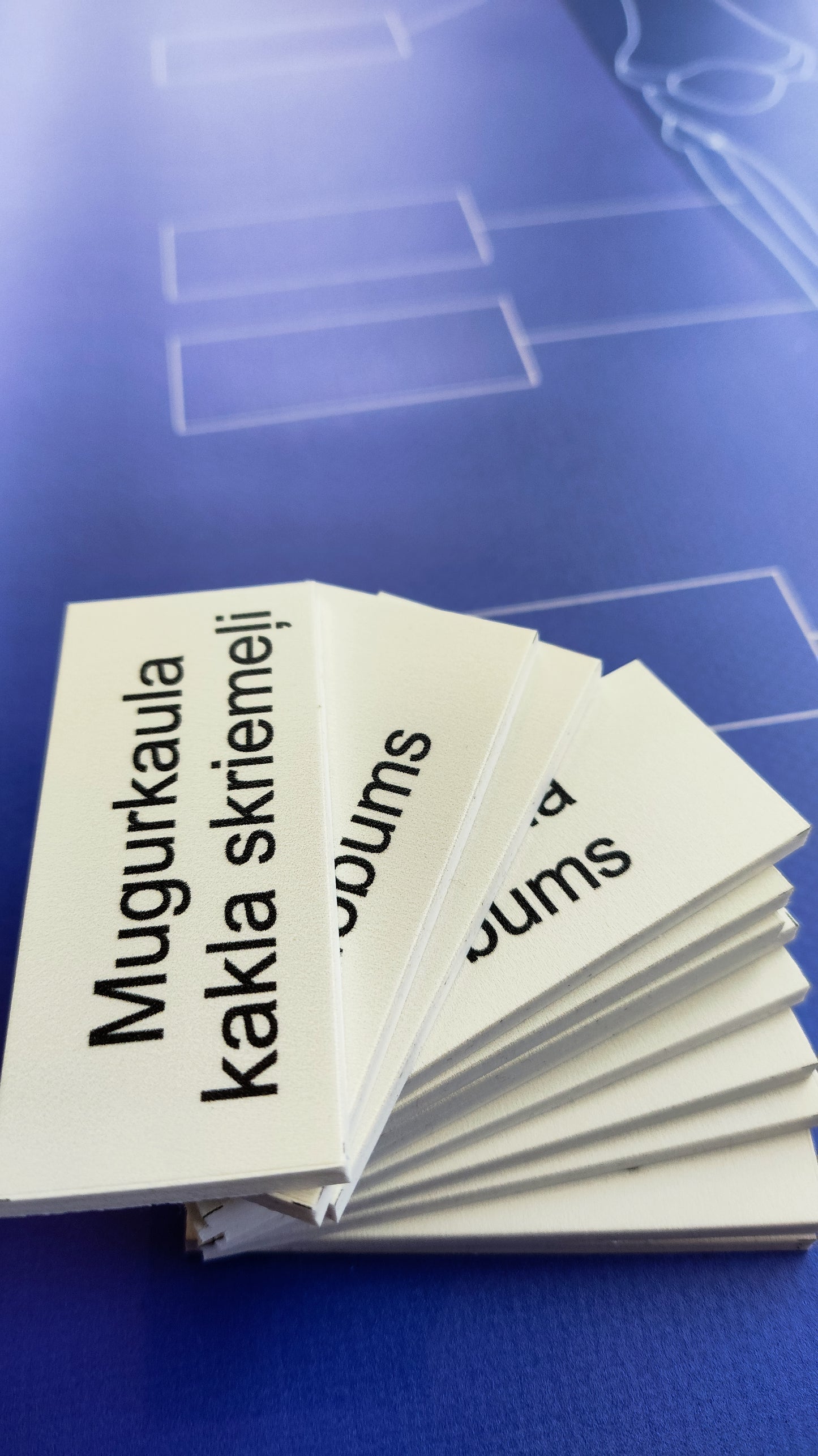 CILVĒKA SKELETS - VISS KOMPLEKTS