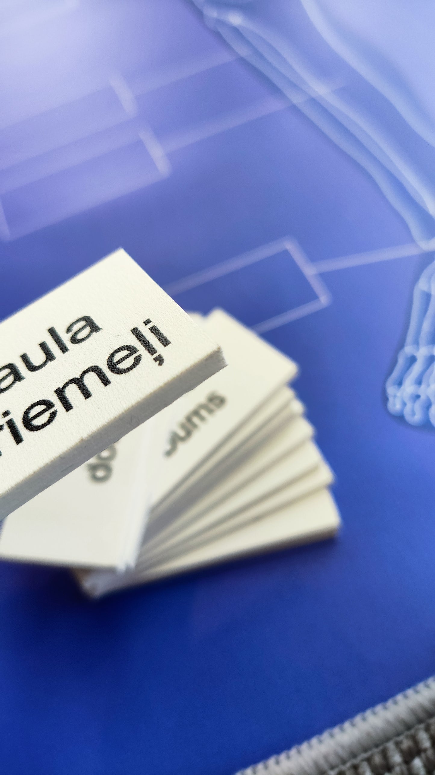 Cilvēka skeleta kaulu nosaukumu kartiņas