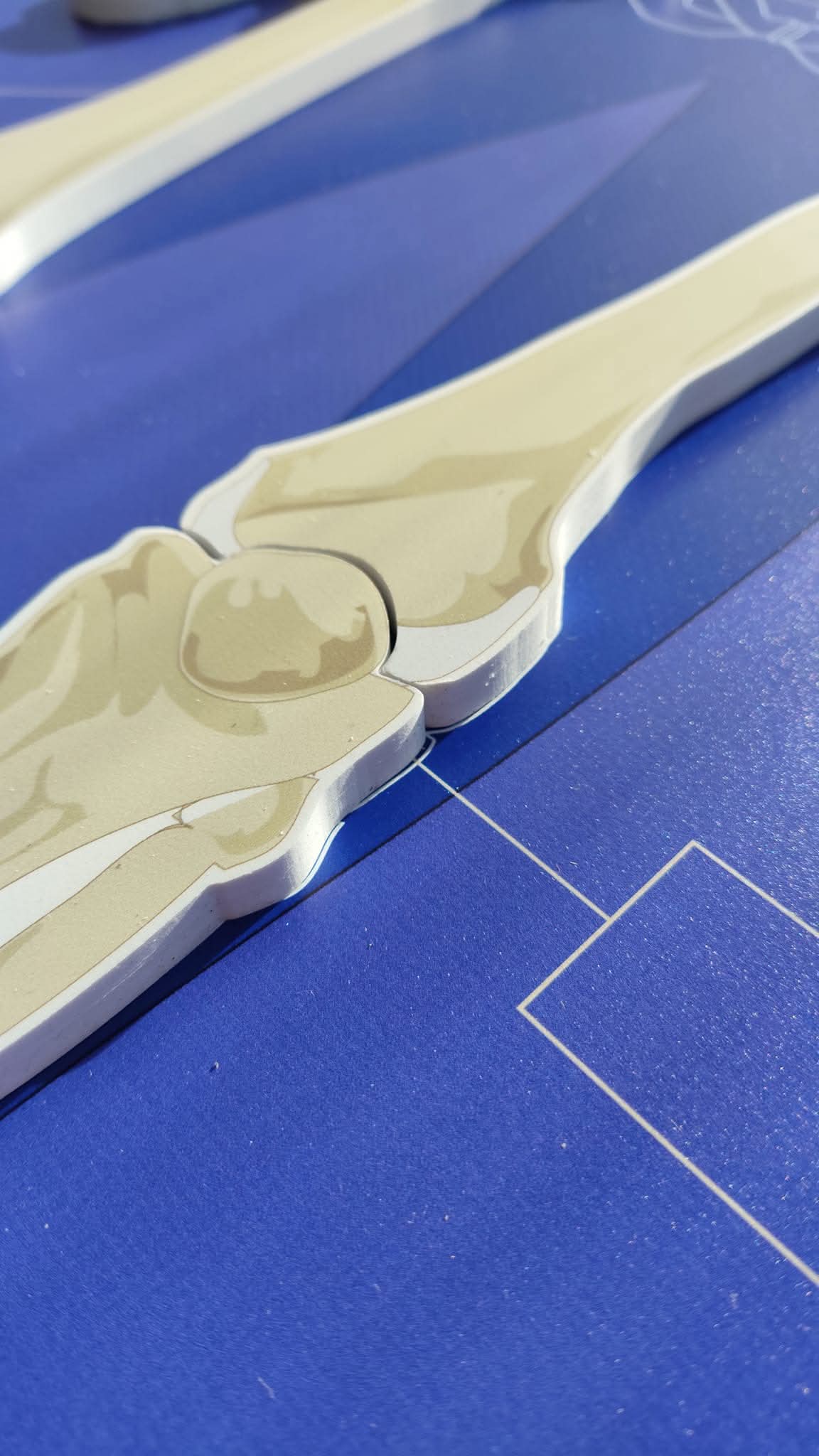 CILVĒKA SKELETS - VISS KOMPLEKTS