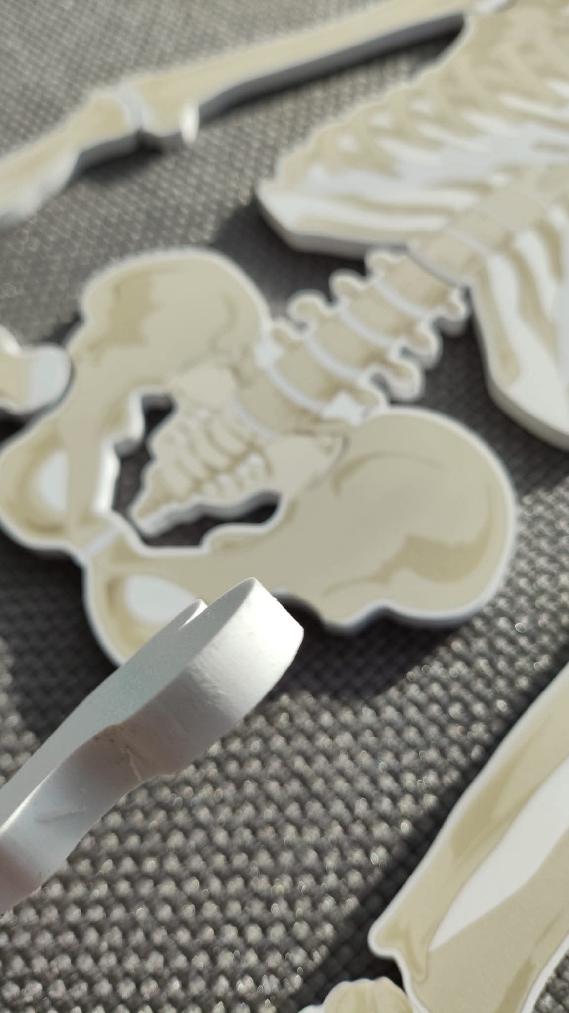 CILVĒKA SKELETS - VISS KOMPLEKTS