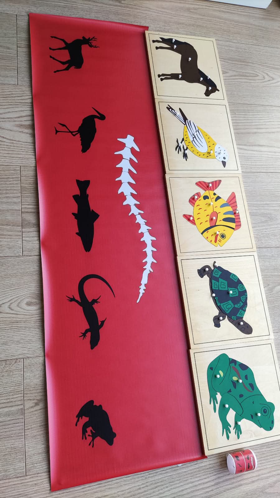 Mugurkaulnieki/bezmugurkaulnieki paklājiņi