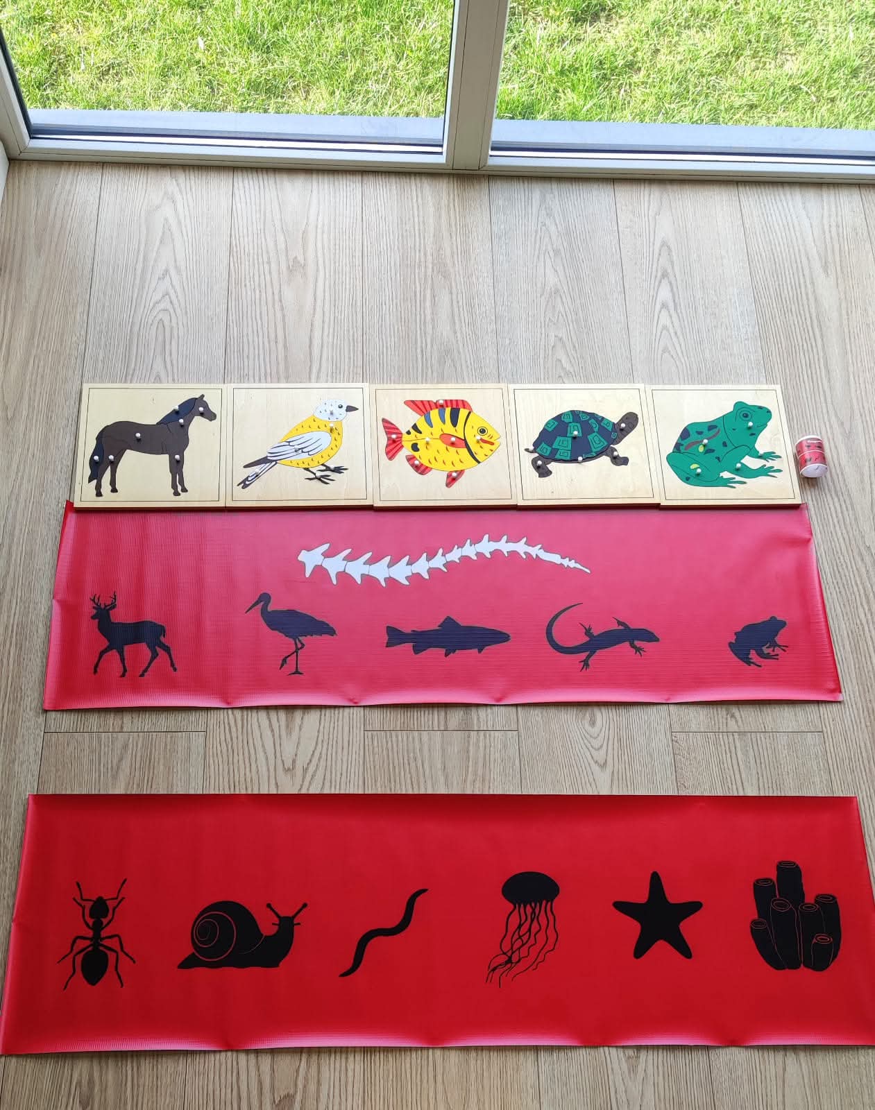 Mugurkaulnieki/bezmugurkaulnieki paklājiņi