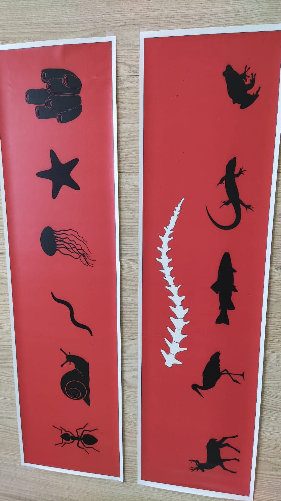 Mugurkaulnieki/bezmugurkaulnieki paklājiņi