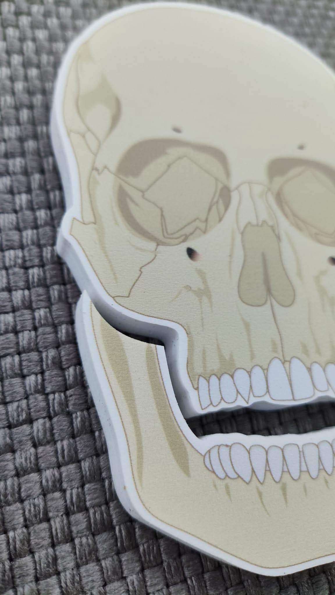 CILVĒKA SKELETS - VISS KOMPLEKTS