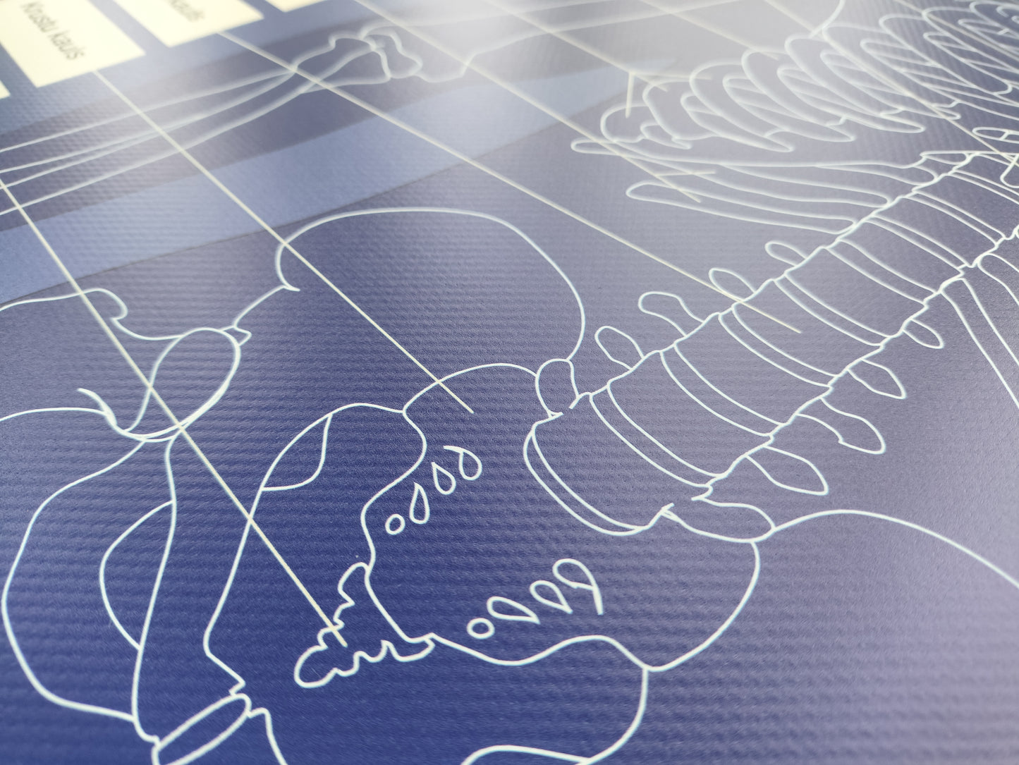 Cilvēka skeleta paklājiņš AR kaulu nosaukumiem