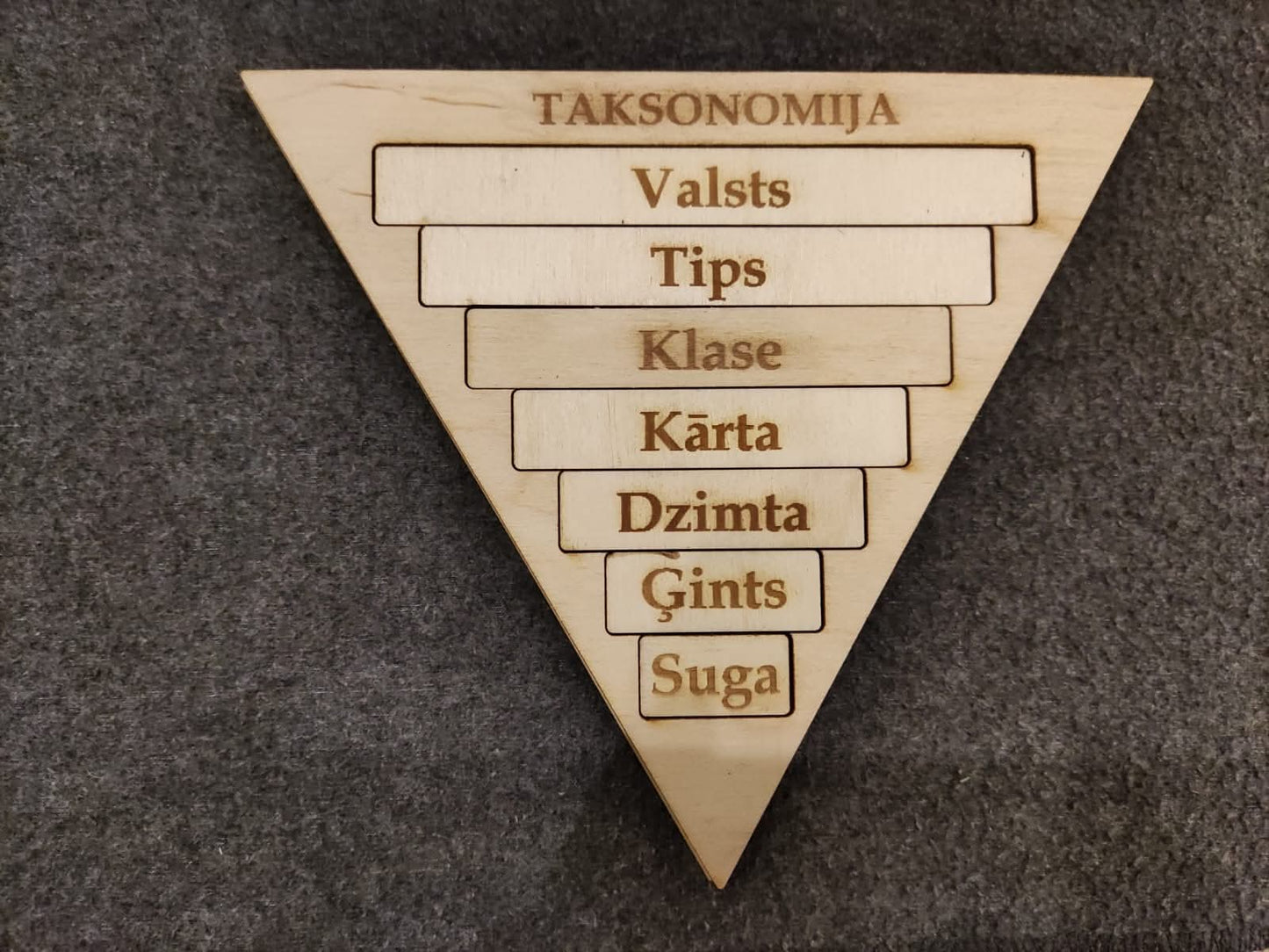 Taksonomija
