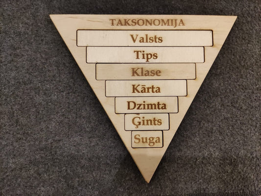 Taksonomija