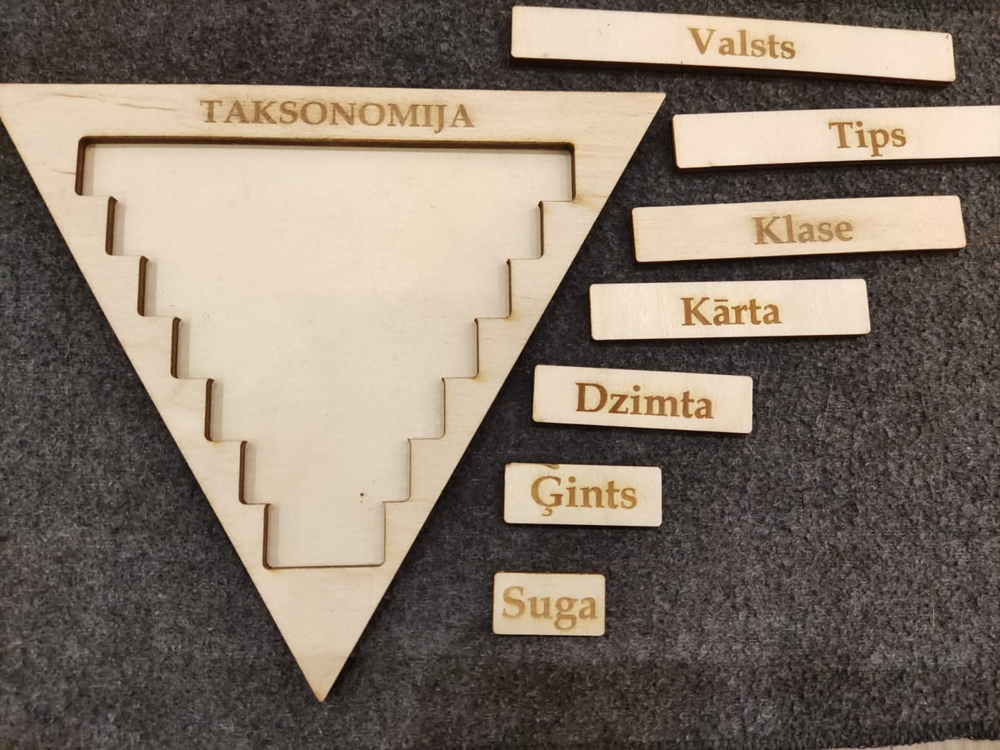 Taksonomija